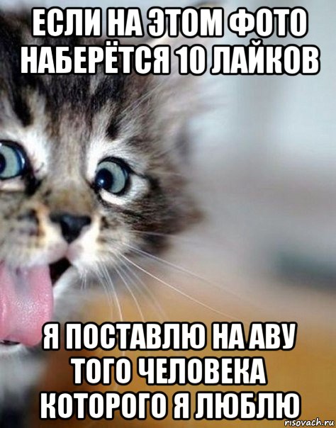 если на этом фото наберётся 10 лайков я поставлю на аву того человека которого я люблю