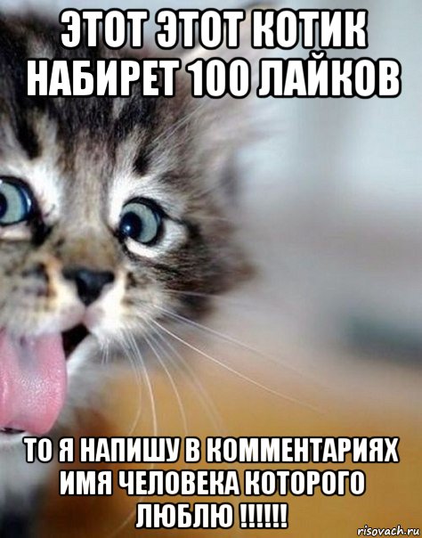 этот этот котик набирет 100 лайков то я напишу в комментариях имя человека которого люблю !!!!!!