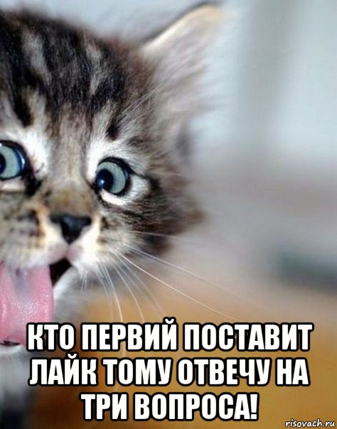  кто первий поставит лайк тому отвечу на три вопроса!