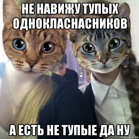 не навижу тупых однокласнасников а есть не тупые да ну