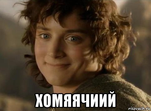  хомяячиий