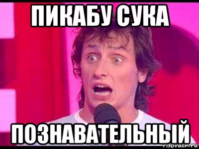 пикабу сука познавательный