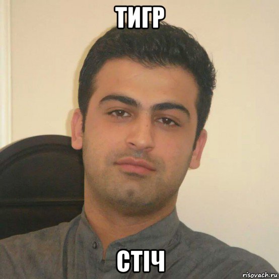 тигр стіч
