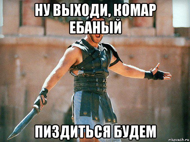 ну выходи, комар ебаный пиздиться будем