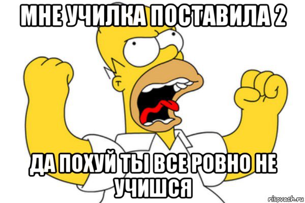 мне училка поставила 2 да похуй ты все ровно не учишся, Мем Разъяренный Гомер