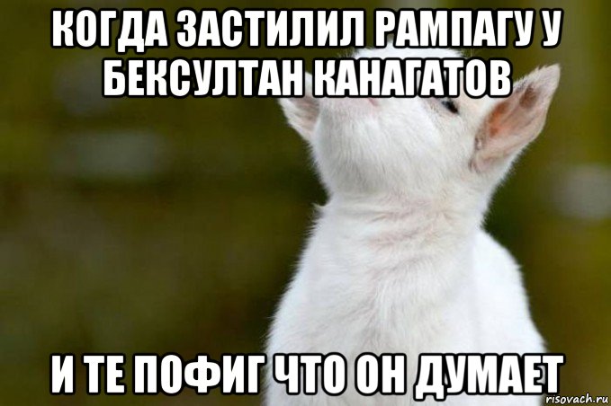 когда застилил рампагу у бексултан канагатов и те пофиг что он думает, Мем  Гордый козленок