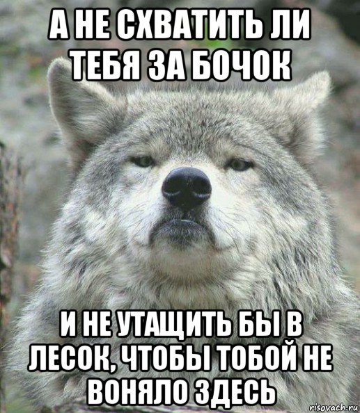 а не схватить ли тебя за бочок и не утащить бы в лесок, чтобы тобой не воняло здесь, Мем    Гордый волк