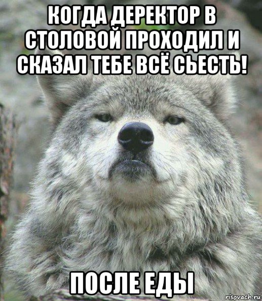 когда деректор в столовой проходил и сказал тебе всё сьесть! после еды, Мем    Гордый волк