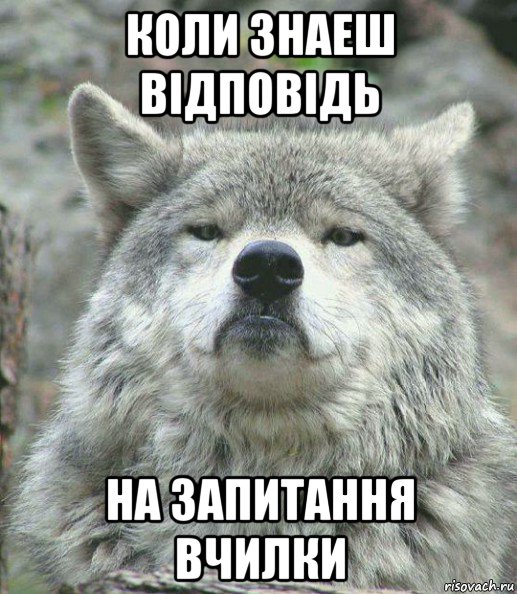 коли знаеш відповідь на запитання вчилки, Мем    Гордый волк