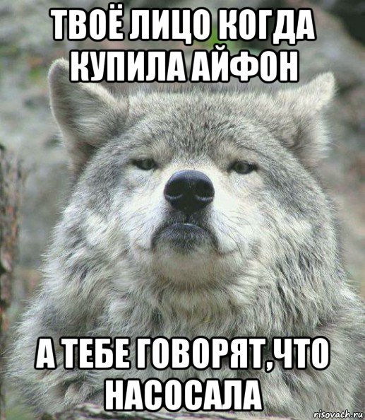 твоё лицо когда купила айфон а тебе говорят,что насосала, Мем    Гордый волк