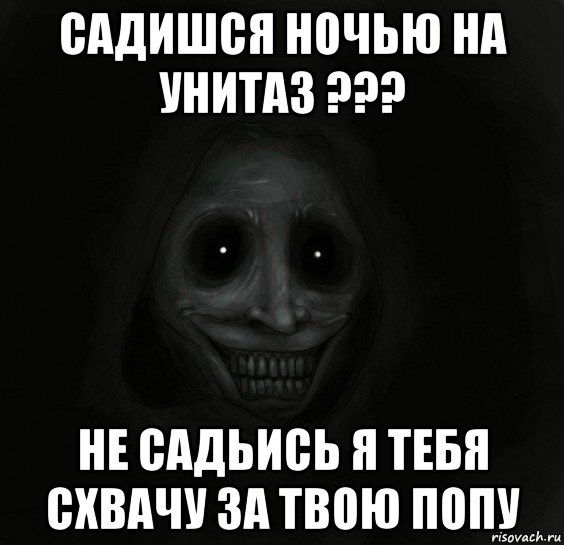 садишся ночью на унитаз ??? не садьись я тебя схвачу за твою попу, Мем Ночной гость