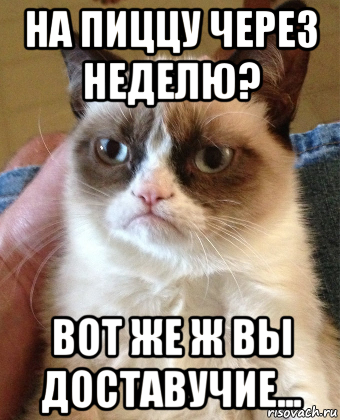 на пиццу через неделю? вот же ж вы доставучие..., Мем Grumpy Cat small