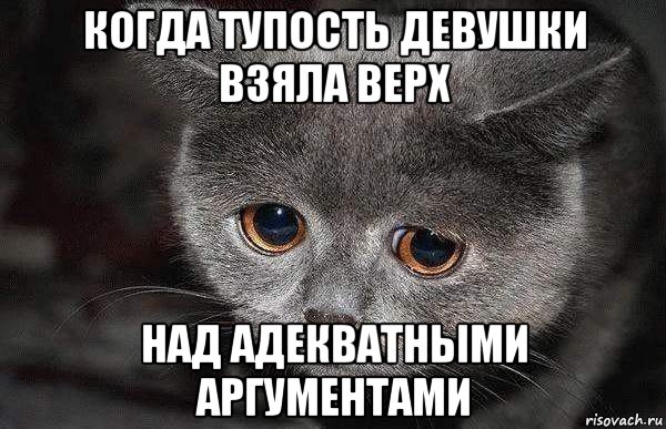 когда тупость девушки взяла верх над адекватными аргументами, Мем  Грустный кот