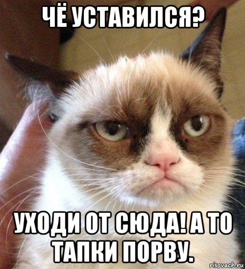 чё уставился? уходи от сюда! а то тапки порву., Мем Грустный (сварливый) кот