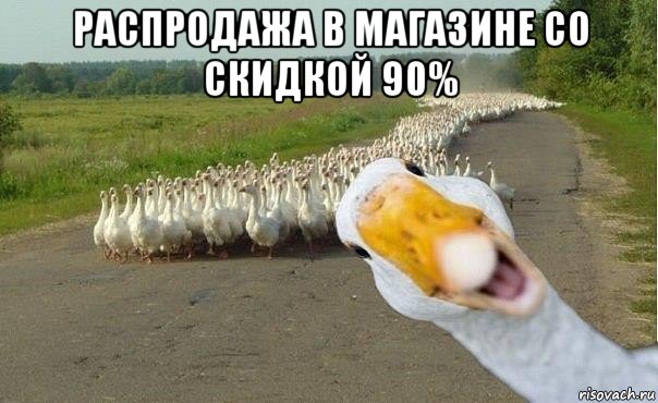 распродажа в магазине со скидкой 90% , Мем гуси