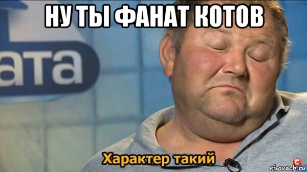 ну ты фанат котов , Мем  Характер такий