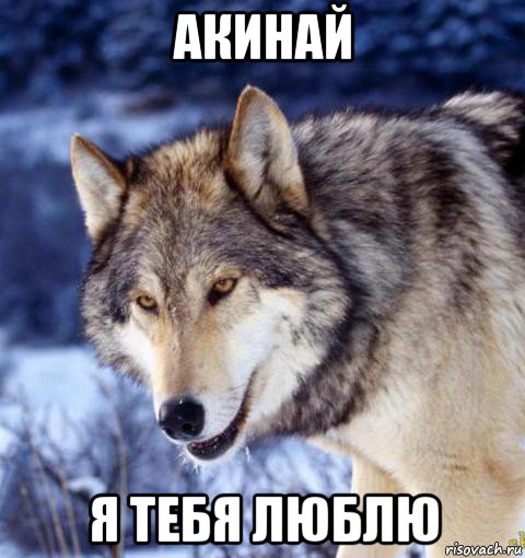 акинай я тебя люблю