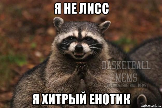 я не лисс я хитрый енотик