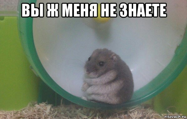 вы ж меня не знаете 