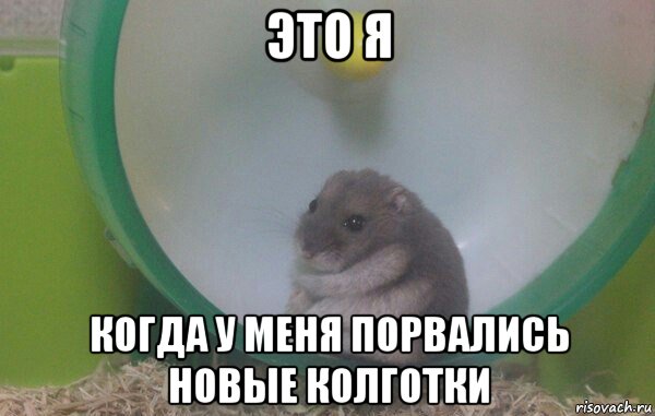 это я когда у меня порвались новые колготки