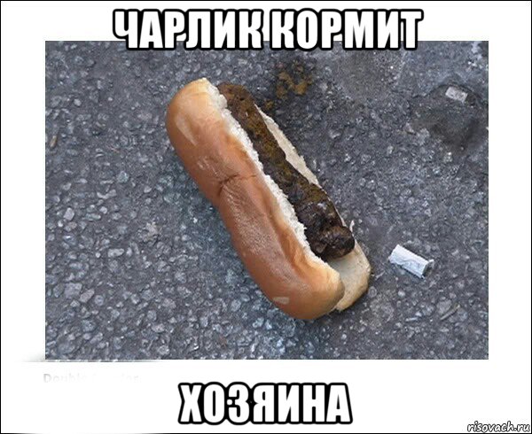 чарлик кормит хозяина