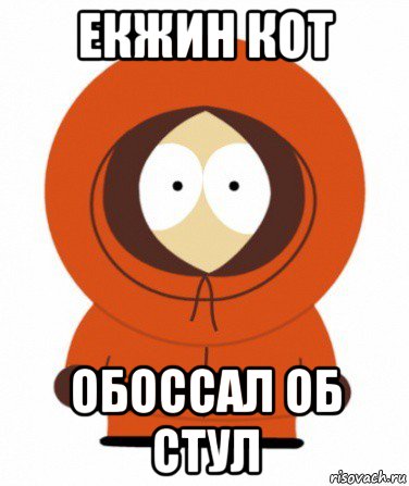 екжин кот обоссал об стул