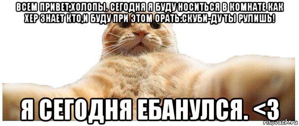 всем привет,холопы. сегодня я буду носиться в комнате как хер знает кто,и буду при этом орать:скуби-ду ты рулишь! я сегодня ебанулся. <3, Мем   Кэтсвилл