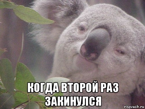  когда второй раз закинулся