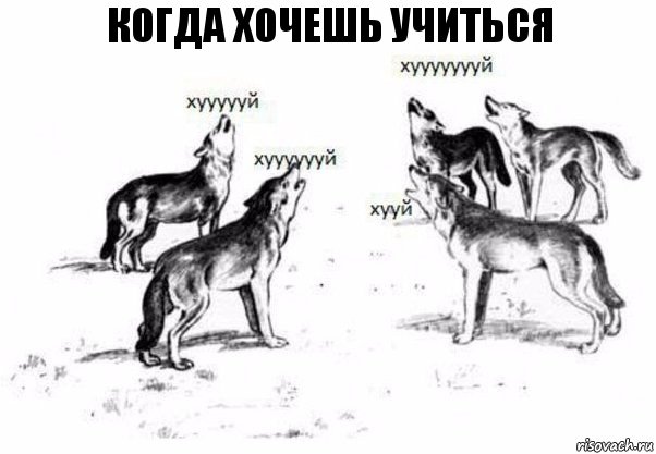 Когда хочешь учиться, Комикс Когда хочешь