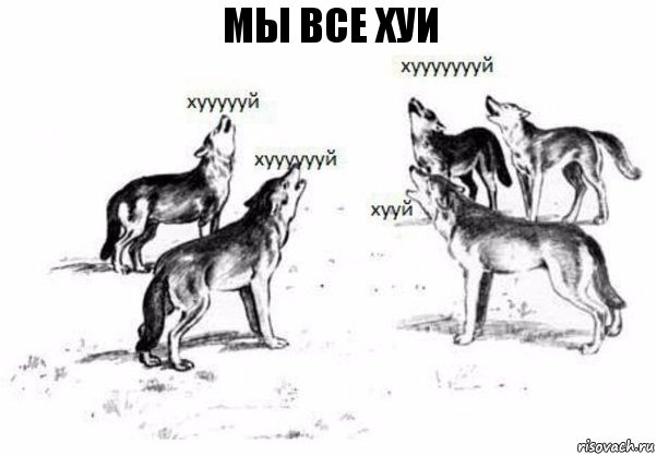 Мы все хуи, Комикс Когда хочешь