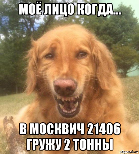моё лицо когда... в москвич 21406 гружу 2 тонны, Мем   Когда увидел что соседского кота отнесли в чебуречную