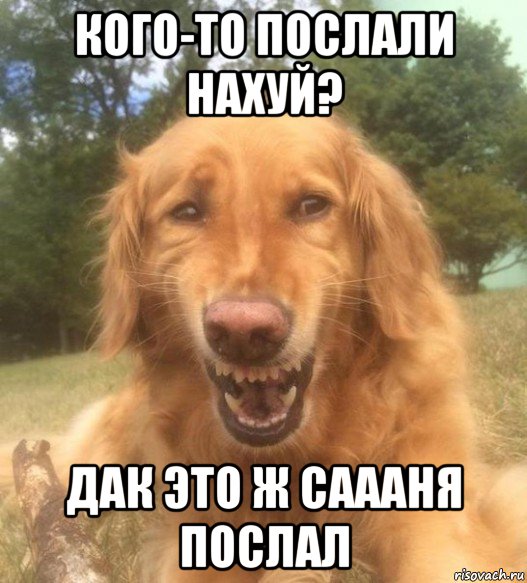 кого-то послали нахуй? дак это ж саааня послал, Мем   Когда увидел что соседского кота отнесли в чебуречную