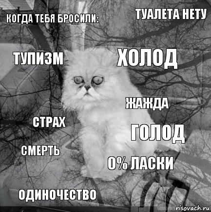 когда тебя бросили: голод холод одиночество страх туалета нету 0% ласки тупизм смерть жажда, Комикс  кот безысходность