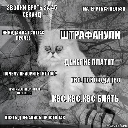 звонки брать за 45 секунд КВС. Повсюду КВС Штрафанули Опять доебались просто так Почему приоритет не 100? Материться нельзя КВС.КВС.КВС блять Не кидай на 1С Пегас Прочее Критически Важные Сервисы Денег не платят, Комикс  кот безысходность