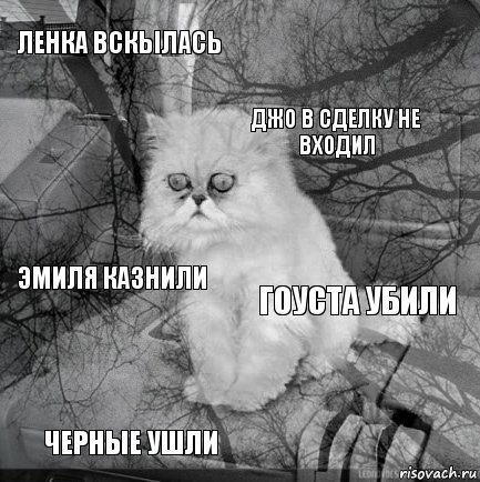 Ленка вскылась Гоуста убили Джо в сделку не входил Черные ушли Эмиля казнили     , Комикс  кот безысходность