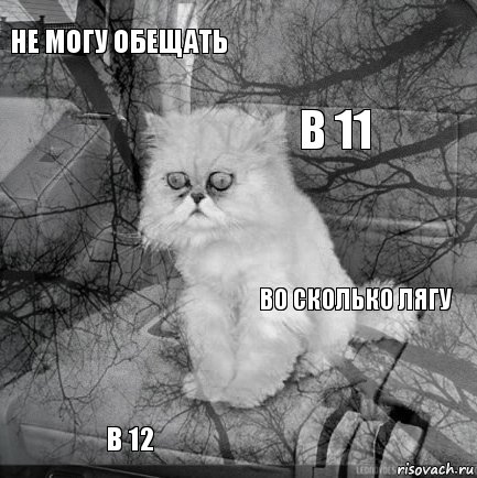 Не могу обещать во сколько лягу в 11 в 12      , Комикс  кот безысходность