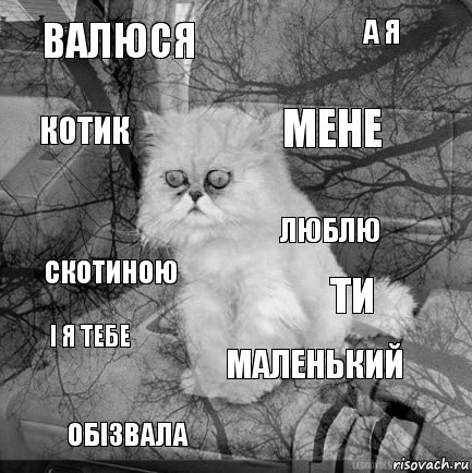 Валюся Ти Мене Обізвала Скотиною А я Маленький Котик І я тебе Люблю, Комикс  кот безысходность