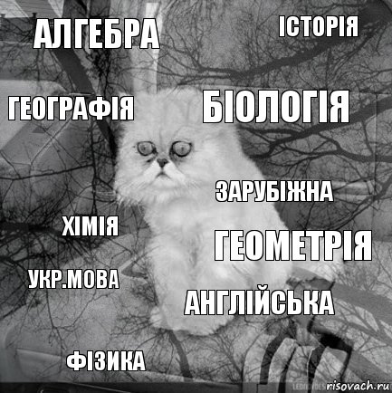 алгебра геометрія біологія фізика хімія історія англійська географія укр.мова зарубіжна, Комикс  кот безысходность