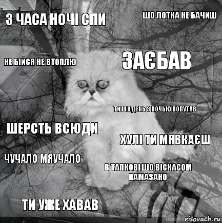 3 часа ночі спи Хулі ти мявкаєш Заєбав Ти уже хавав Шерсть всюди Шо лотка не бачиш В тапкові шо віскасом намазано Не бійся не втоплю Чучало мяучало Ти шо день з ночью попутав, Комикс  кот безысходность