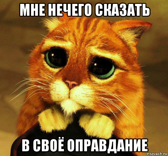 мне нечего сказать в своё оправдание