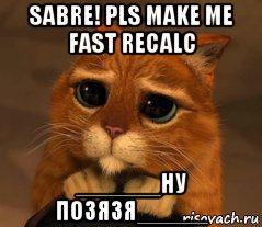 sabre! pls make me fast recalc ______ну позязя_____, Мем Кот из Шрека