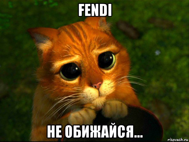 fendi не обижайся..., Мем кот из шрека