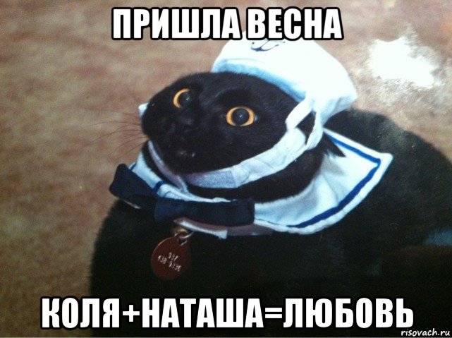 пришла весна коля+наташа=любовь, Мем Кот-матрос