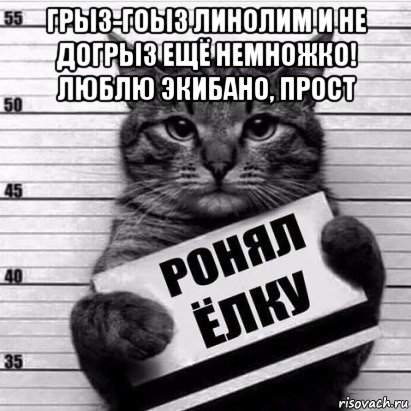 грыз-гоыз линолим и не догрыз ещё немножко! люблю экибано, прост , Мем Кот рецидив