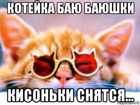 котейка баю баюшки кисоньки снятся..., Мем кот