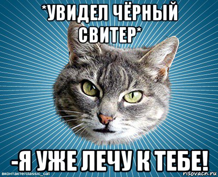 *увидел чёрный свитер* -я уже лечу к тебе!, Мем кот