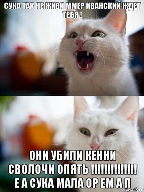  они убили кенни сволочи опять !!!!!!!!!!!!!! е а сука мала ор ем а п, Мем Котэ ржака