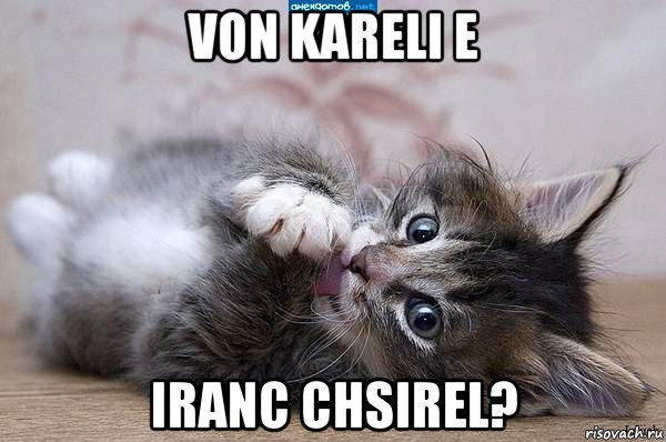 von kareli e iranc chsirel?, Мем  котенок