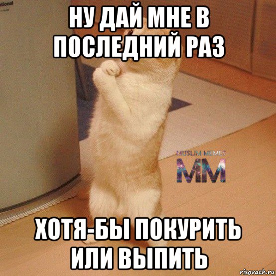 ну дай мне в последний раз хотя-бы покурить или выпить