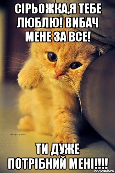 сірьожка,я тебе люблю! вибач мене за все! ти дуже потрібний мені!!!!